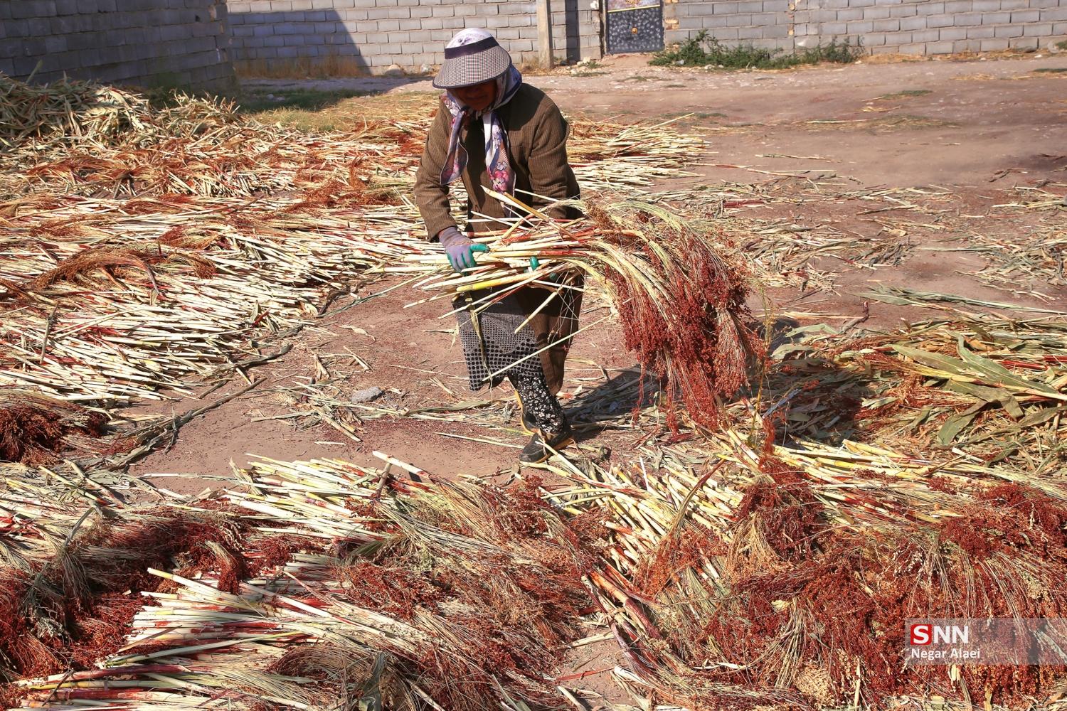 جاروبافی در روستای ملاحسن