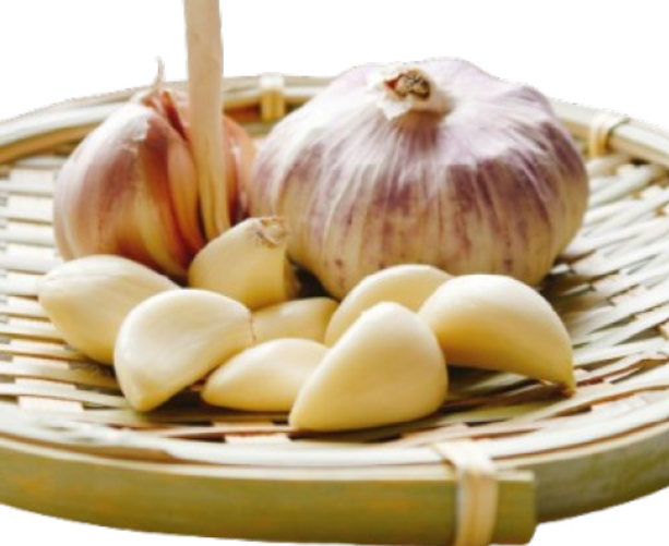 تکنیکهای طلایی برای استفاده خوب از سیر