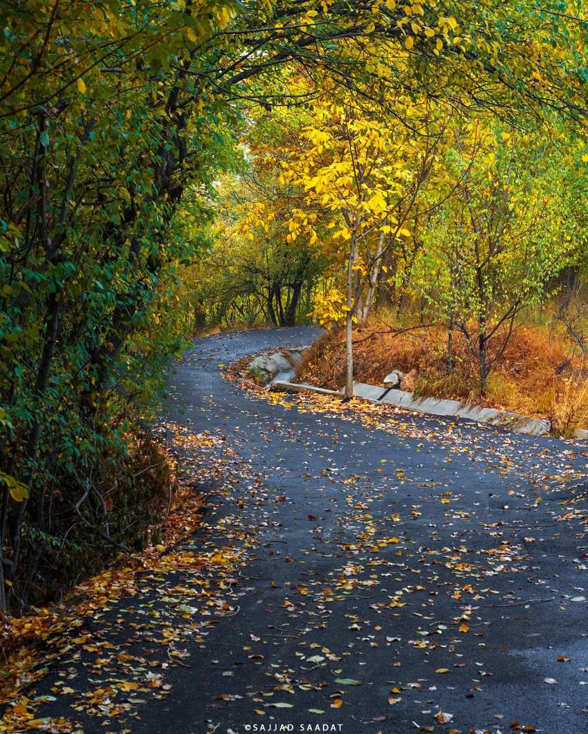 کوچه‌های رنگی خوانسار در پاییز