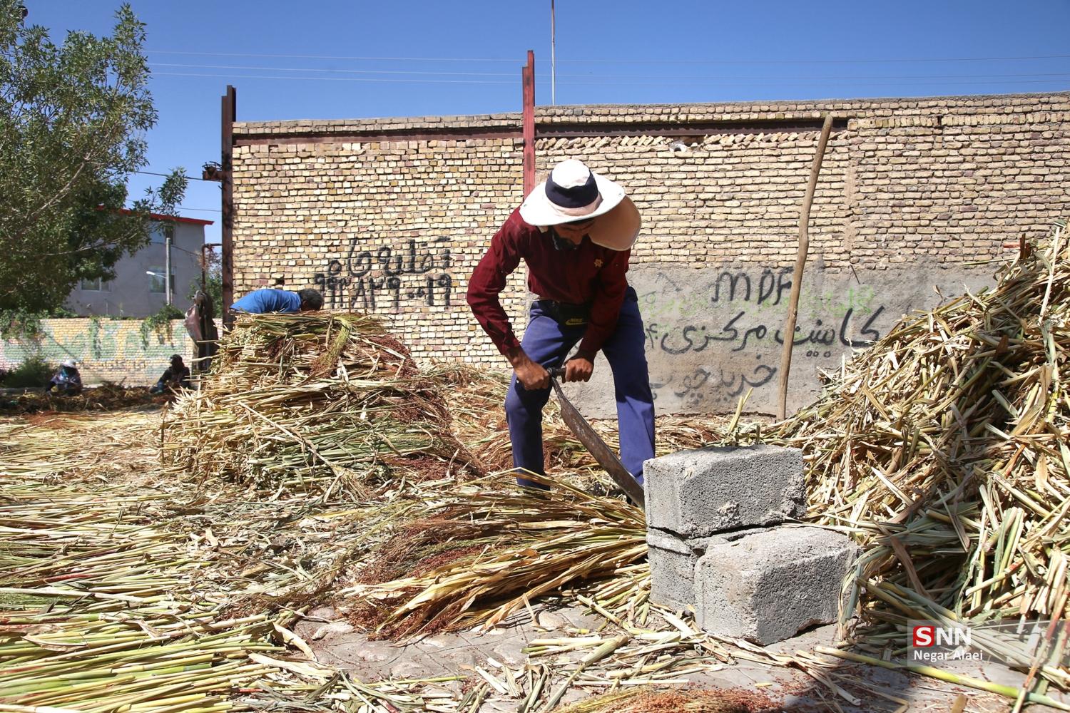 جاروبافی در روستای ملاحسن
