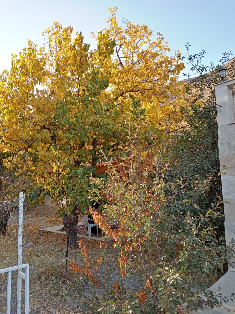 روزهای پاییزی در روستای توریستی مغان