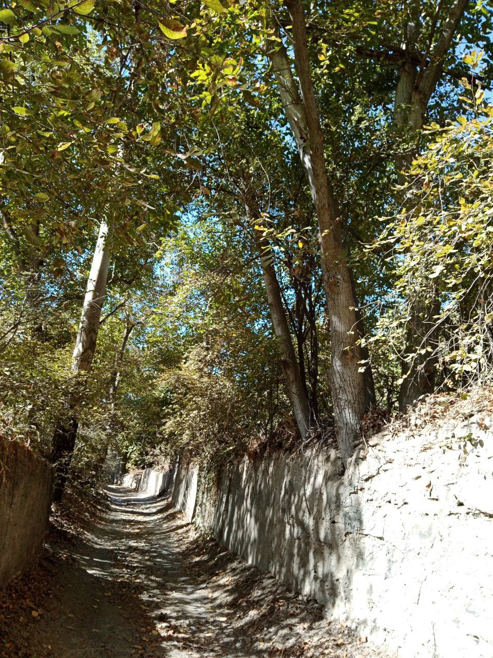 روزهای پاییزی در روستای توریستی مغان
