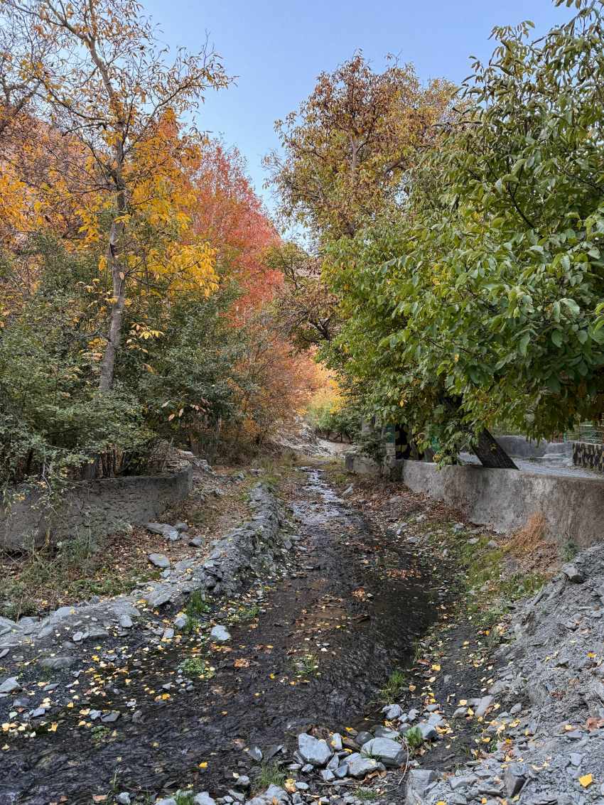 عکس/ طبیعت پاییزی روستای دهبار مشهد
