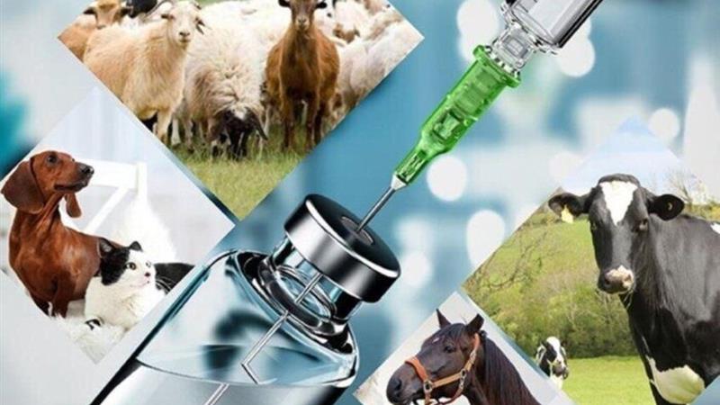 دامپزشکی، محور سلامت واحد و امنیت غذایی در کشور
