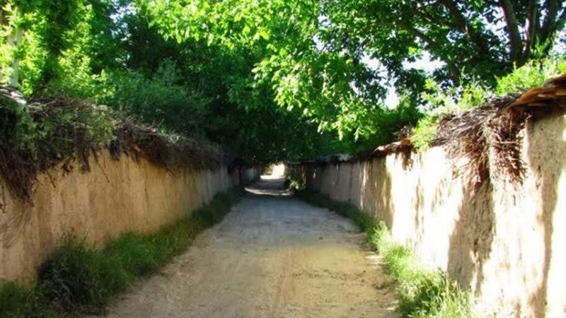 شهردار: هیچ‌گونه ساخت‌وساز در باغات شیراز مجاز نیست/ تلاش برای تأمین آب باغات