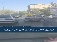 تزئین خلاقانه پیکان در تبریز