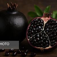 روند افزایشی کشت انار سیاه در طارم زنجان