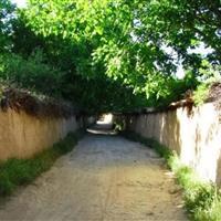 شهردار: هیچ‌گونه ساخت‌وساز در باغات شیراز مجاز نیست/ تلاش برای تأمین آب باغات