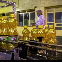 توزیع 80 هزار تن روغن آفتابگردان دولتی برای کمک به تنظیم بازار