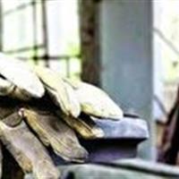 تعیین تکلیف ۹۹.۸ درصدی پرونده‌های مراجع حل اختلاف کار در خراسان جنوبی