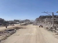 بازگشایی معابر در غزه پس از آتش‌بس و عقب‌نشینی ارتش اشغالگر صهیونیستی