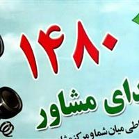 بیش از ۱۰ هزار نفر از خدمات مشاوره تلفنی بهزیستی زنجان بهره‌مند شدند