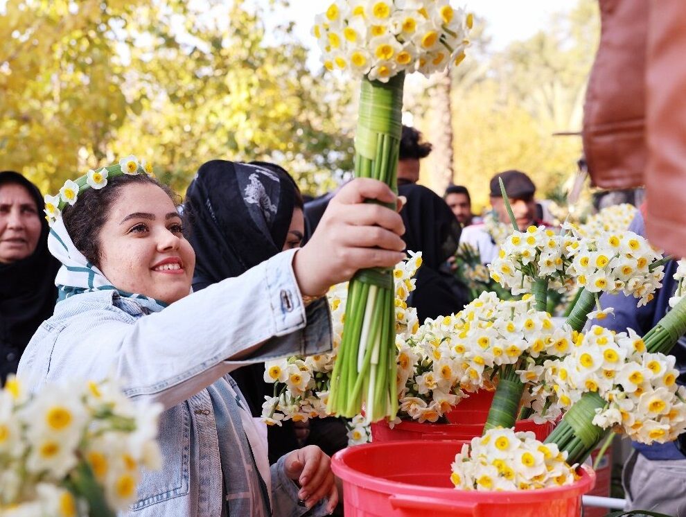 جشنواره گل نرگس جویبار ثبت ملی شد