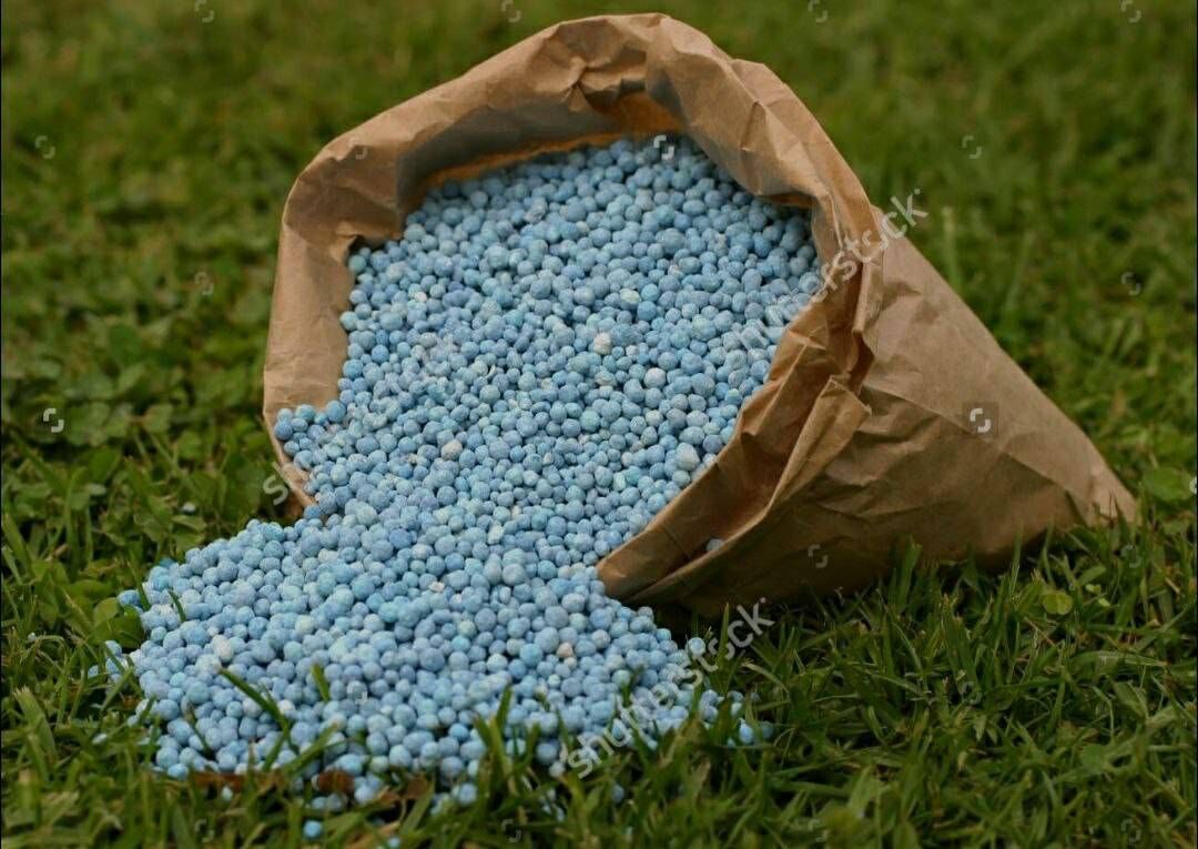 اختصاص ۲۸ هزار تن کود یارانه‌ای به کشاورزان کهگیلویه و بویراحمد