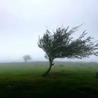 پیش‌بینی وقوع باد شدید در لرستان