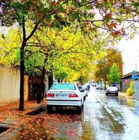 بارش پاییزه نصف شد