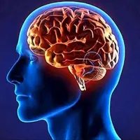 مراقب سودا و خشکی مغز باشید!