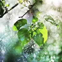 دو هشدار هواشناسی در هرمزگان؛ شرایط ناپایدار تا پایان هفته ادامه دارد
