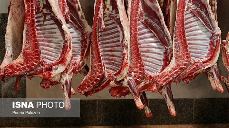 عرضه مستقیم گوشت قرمز عشایری ۲۰۰ هزار تومان زیر قیمت بازار در زنجان