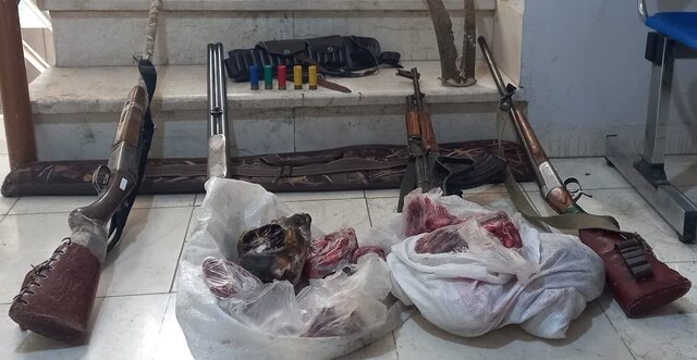 کشف ۳ لاشه کل و بز و ۴ قبضه سلاح در بم