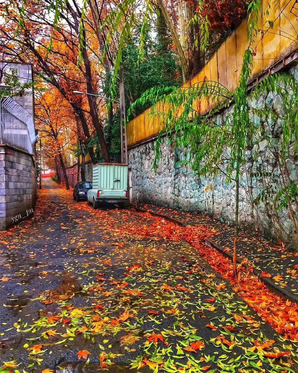 زیبایی کوچه های پاییزی تهران 