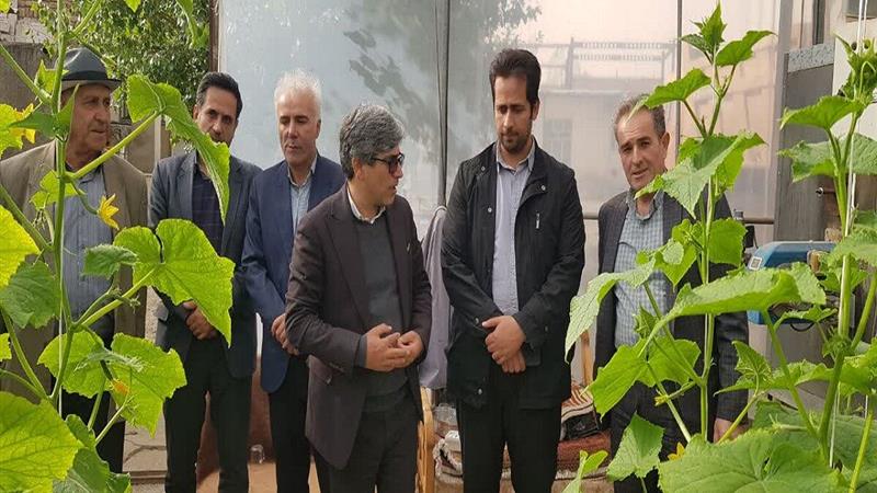 فرماندار نیر: گلخانههای شهرستان با راهبرد حمایتی رو به افزایش است