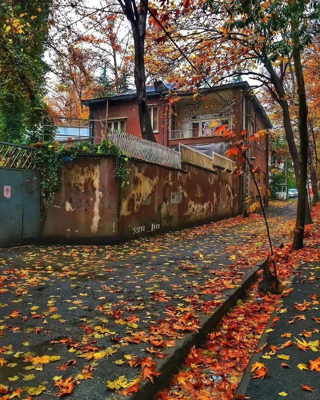 زیبایی کوچه های پاییزی تهران 