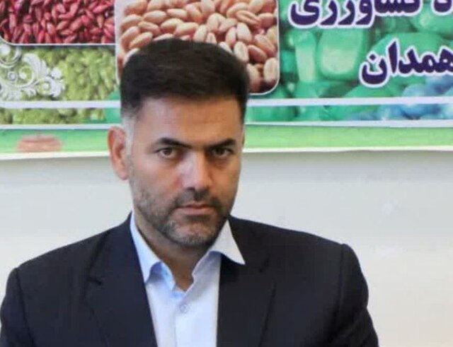 باقیمانده مطالبات گندمکاران همدانی بهزودی پرداخت میشود