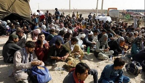 ۱۸۷ نفر اتباع بیگانه در هیرمند جمعآوری شدند