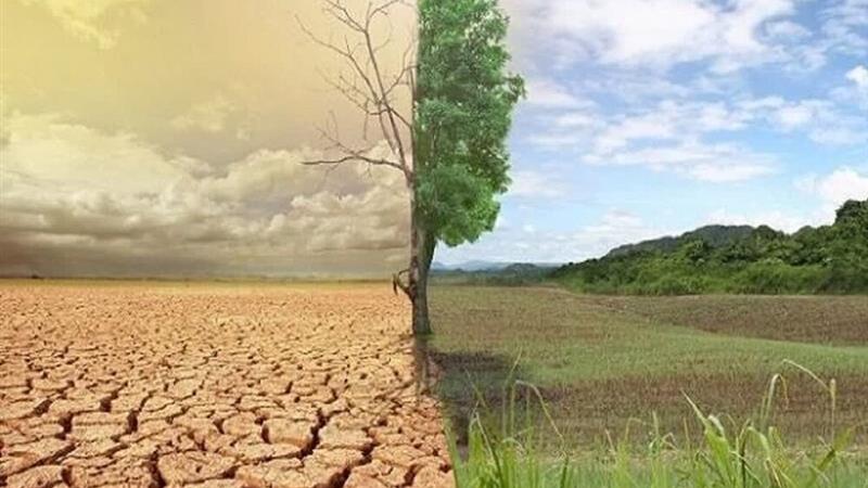 تغییر اقلیم باید به محتوای مدرسه و دانشگاه وارد شود