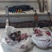 کشف ۳ لاشه کل و بز و ۴ قبضه سلاح در بم