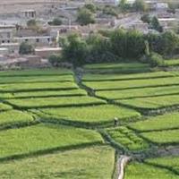 «سرتنگ»؛ روستایی واجد جغرافیای اشتغال، اقتصاد کشاورزی و جاذبه گردشگری