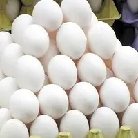 پیشنهاد جدید برای شفافیت در بازار تخم‌مرغ؛ دو نرخ روی هر بسته