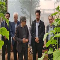 فرماندار نیر: گلخانه‌های شهرستان با راهبرد حمایتی رو به افزایش است