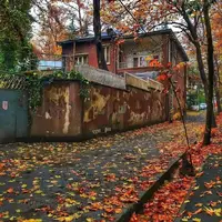 زیبایی کوچه های پاییزی تهران 