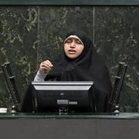 محمدبیگی: بسیاری از قوانین مربوط به جوانی جمعیت با کُندی در حال اجراست
