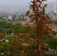 کاهش دمای هوا در در مناطق گرمسیری کهگیلویه و بویراحمد