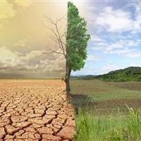 تغییر اقلیم باید به محتوای مدرسه و دانشگاه وارد شود