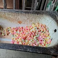 کشف ۶ تُن انواع اسنک و پُفک غیربهداشتی در شیراز