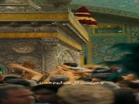 استوری/ پا ضریحت دل من آروم شد