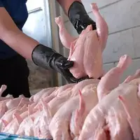 سرمقاله خراسان/ مرغ آزاد با ارز بیت‌المال !