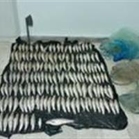 دستگیری سه متخلف صید غیرمجاز در ماهنشان