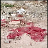انگیزه‌های مرد جوان برای قتل هولناک راننده وانت چه بود؟