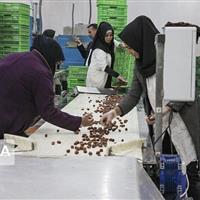 تعاونیهای محلهمحور در کردستان تشکیل شود