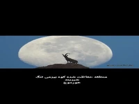تصویری دیدنی از بز کوهی و ماه در نزدیکی خورموج
