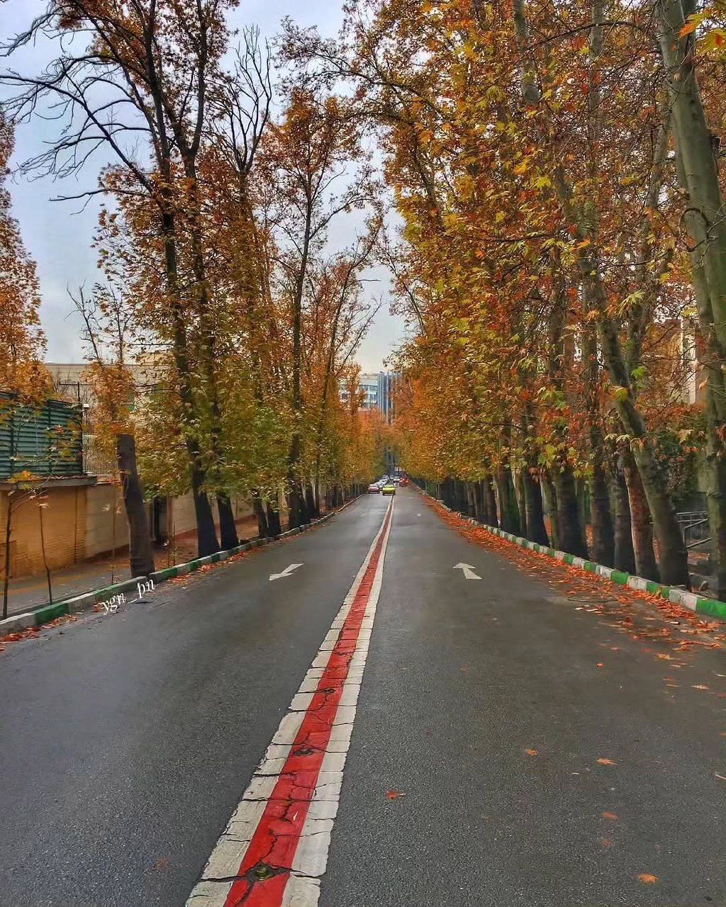 زیبایی کوچه های پاییزی تهران 