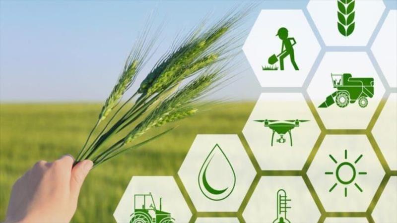 استاندار اردبیل: نخستین پردیس فناورانه کشاورزی در دشت مغان ایجاد میشود