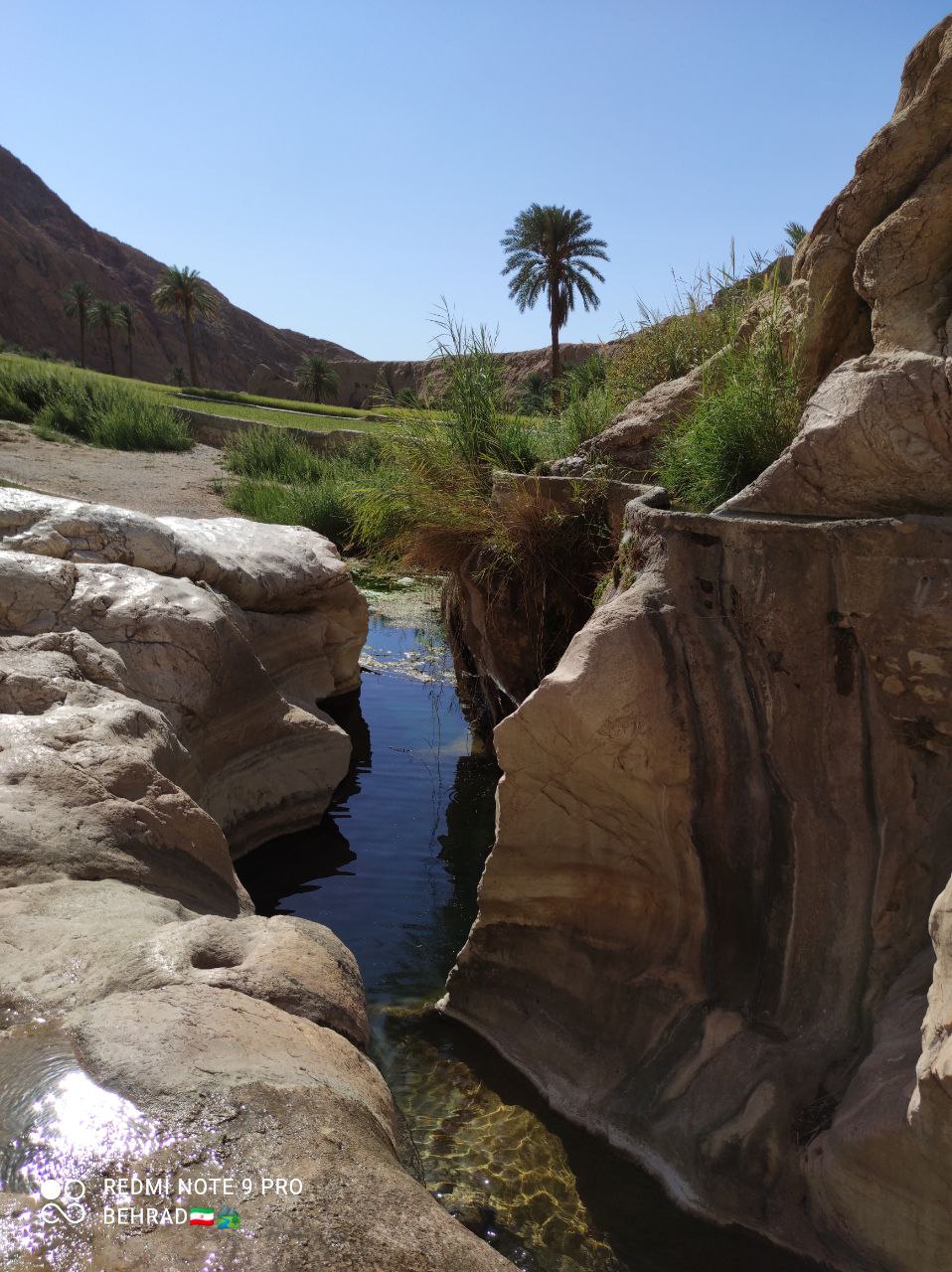 ازمیغان طبس، نخل و شالیزارهایی در دل کویر