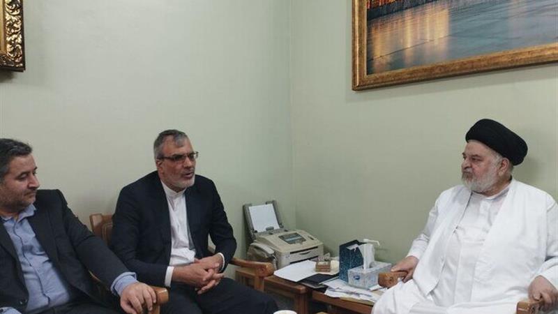 جابری انصاری: ایرنا در مسیر منافع ملی حرکت میکند