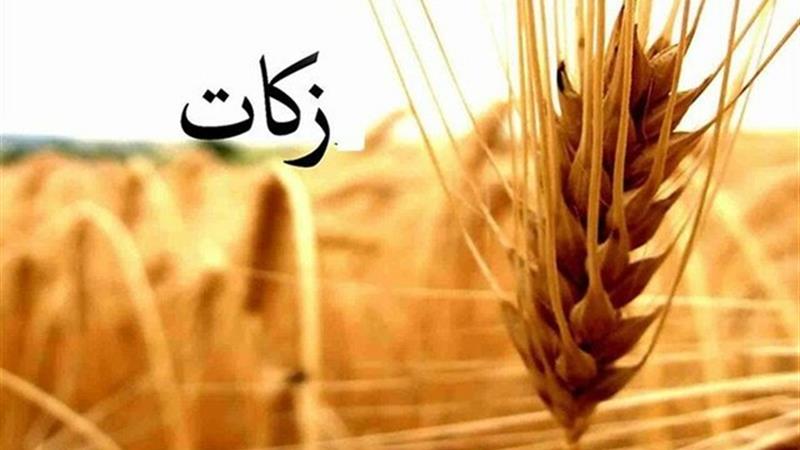 کردستانی‌ها ۸۱ میلیارد تومان زکات پرداخت کردند